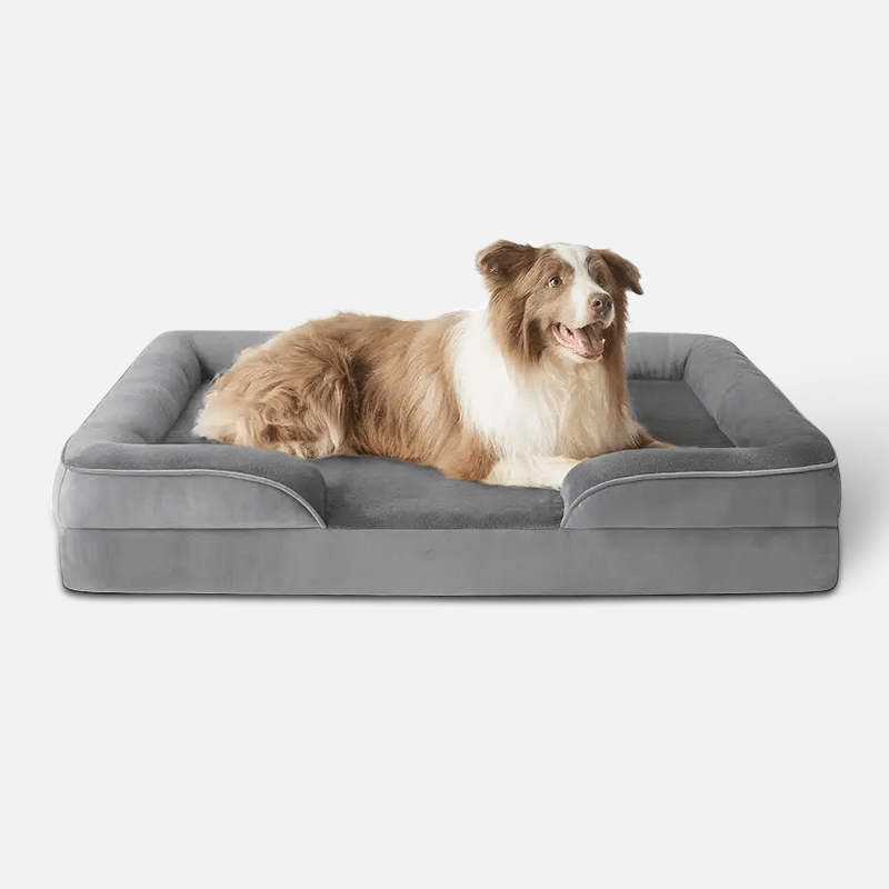 Orthopedisch hondenbed 100×70 cm Traagschuim – Gewrichtsondersteuning Grijs - Hebbr