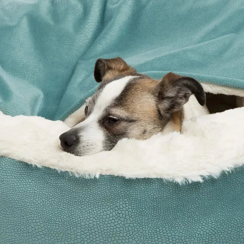 Orthopedisch Hondenbed voor Grote Honden – Warm, Waterdicht en Wasbaar - Hebbr