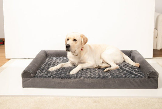 Orthopedisch Hondenbed voor Grote Honden – Waterdicht, Verwijderbare Hoes & Ondersteuning - Hebbr