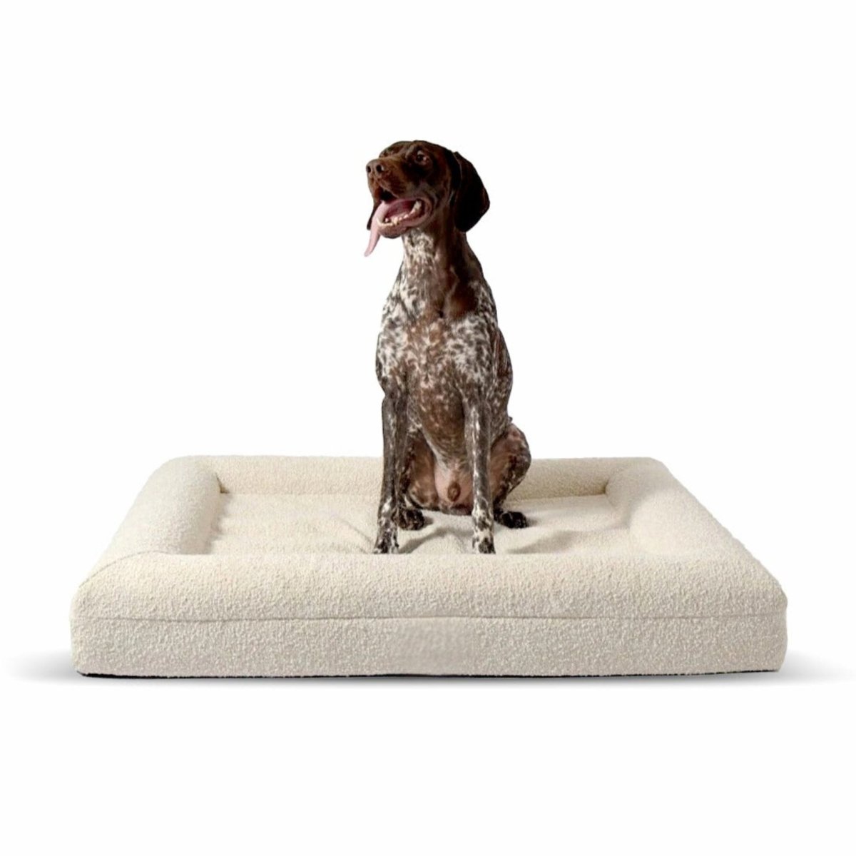Orthopedisch Hondenkussen Voor grote en kleine honden - Luxe Memory Foam, Wasbaar, Wit - Hebbr