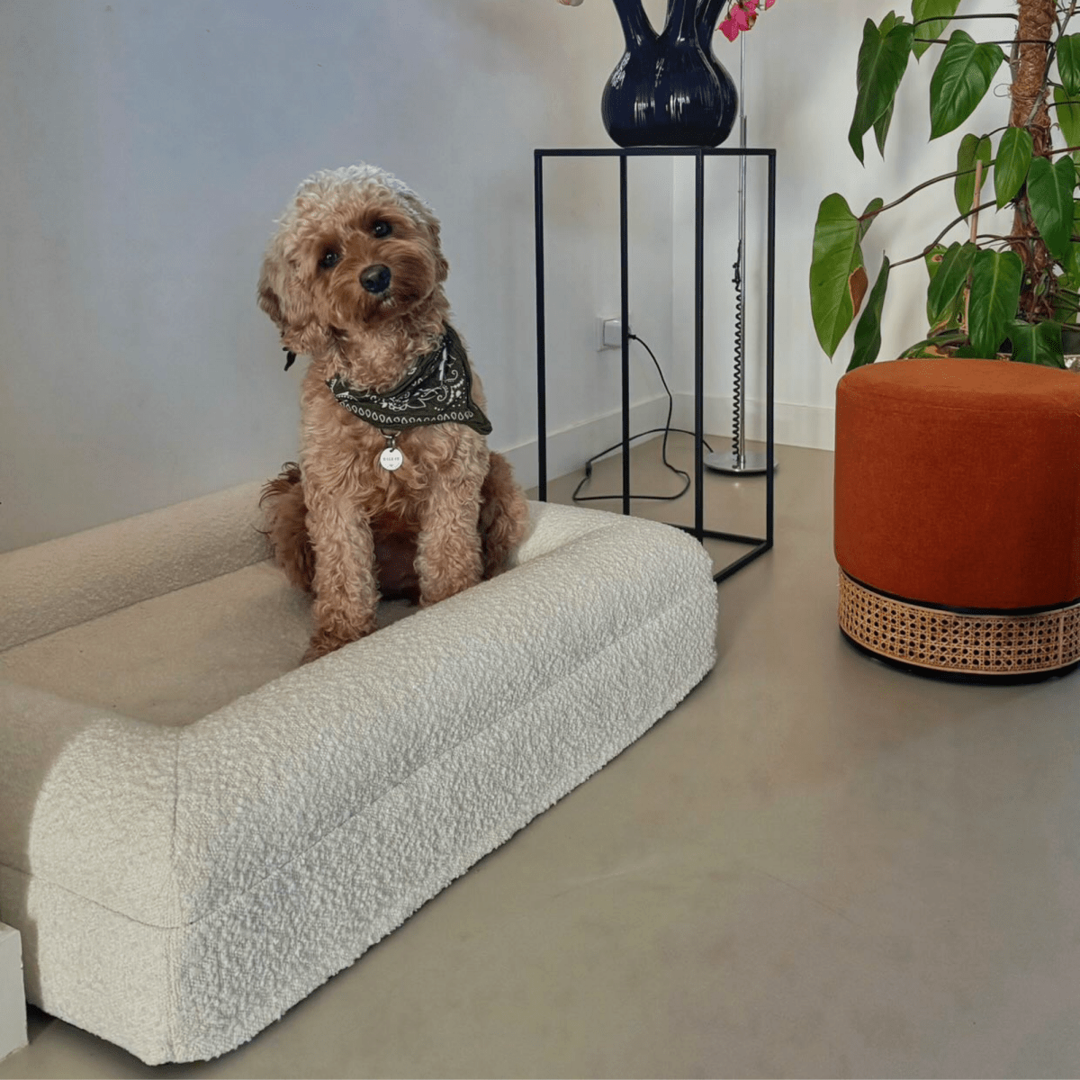 Orthopedisch Hondenkussen Voor grote en kleine honden - Luxe Memory Foam, Wasbaar, Wit - Hebbr