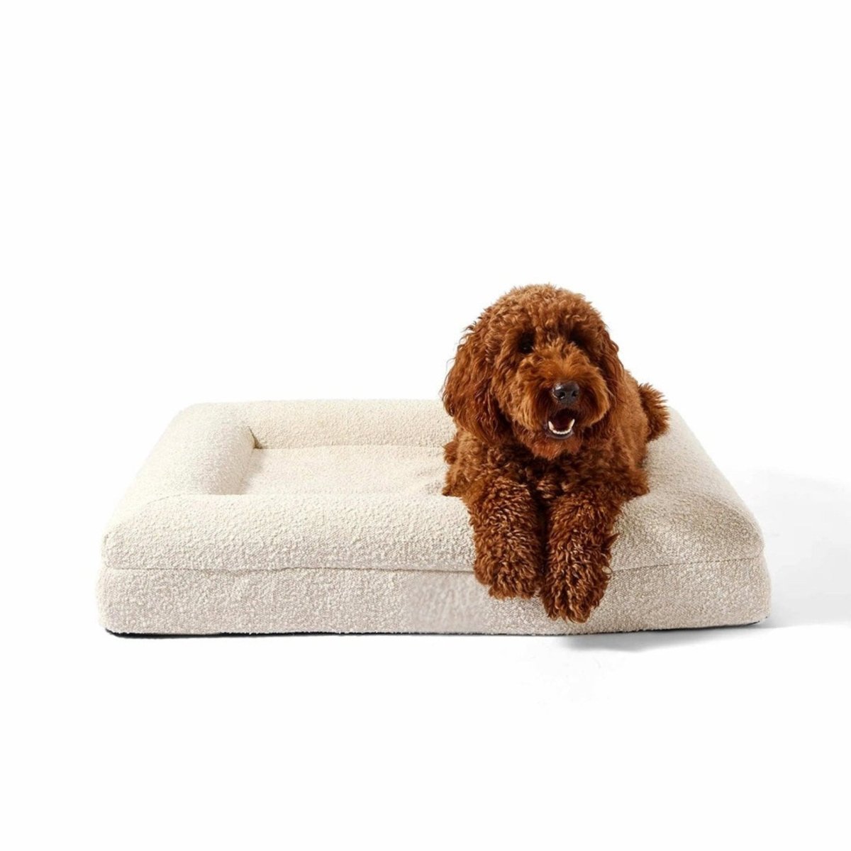 Orthopedisch Hondenkussen Voor grote en kleine honden - Luxe Memory Foam, Wasbaar, Wit - Hebbr