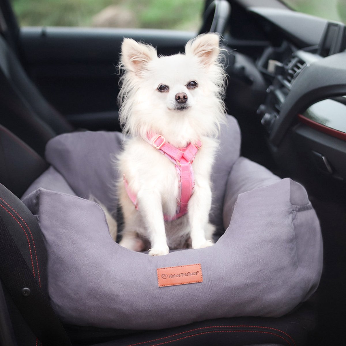 Orthopedische Hondenautostoel – Veilig, Comfortabel en Wasbaar voor Honden tot 15 kg - Hebbr