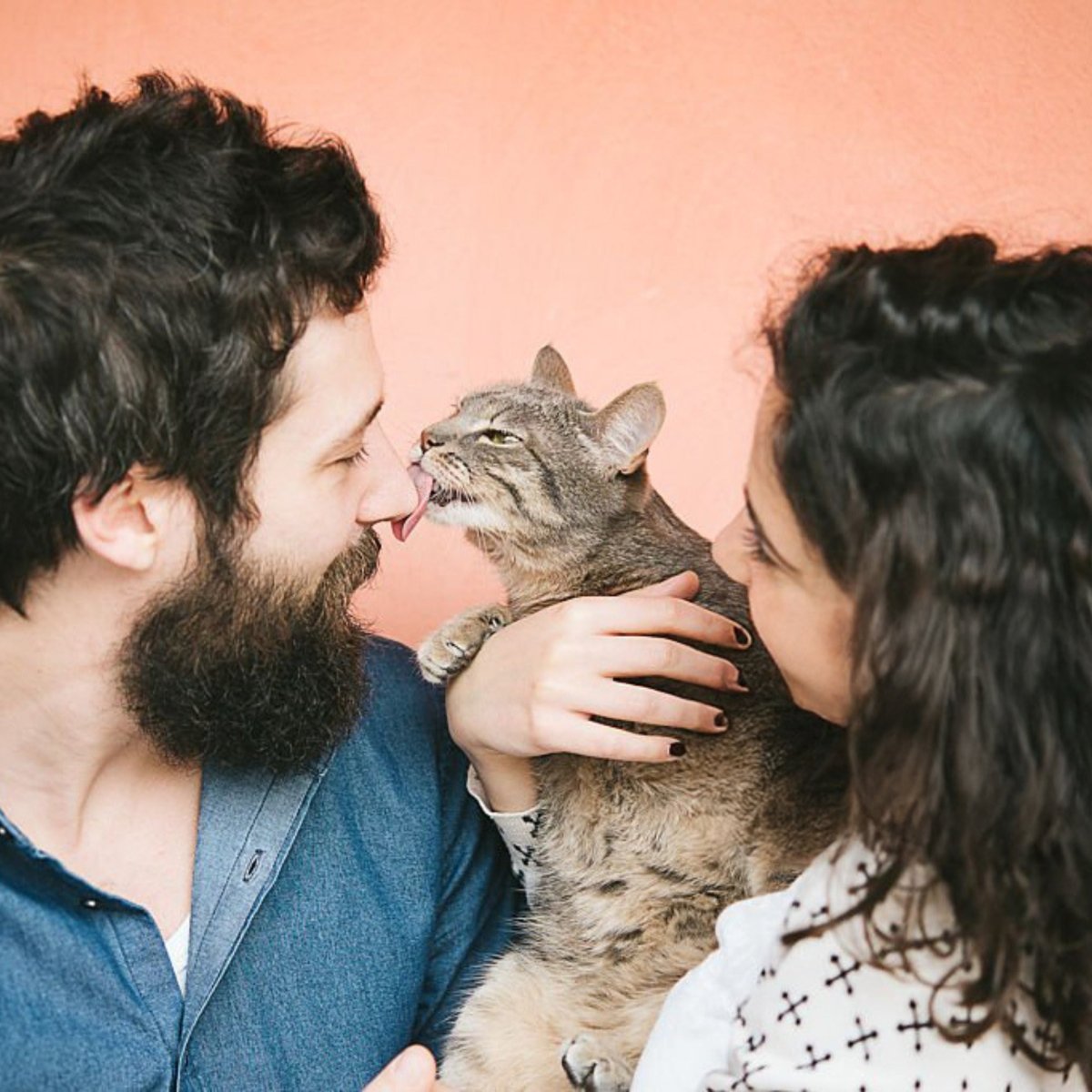 Premium Kat - Adult - Hebbr