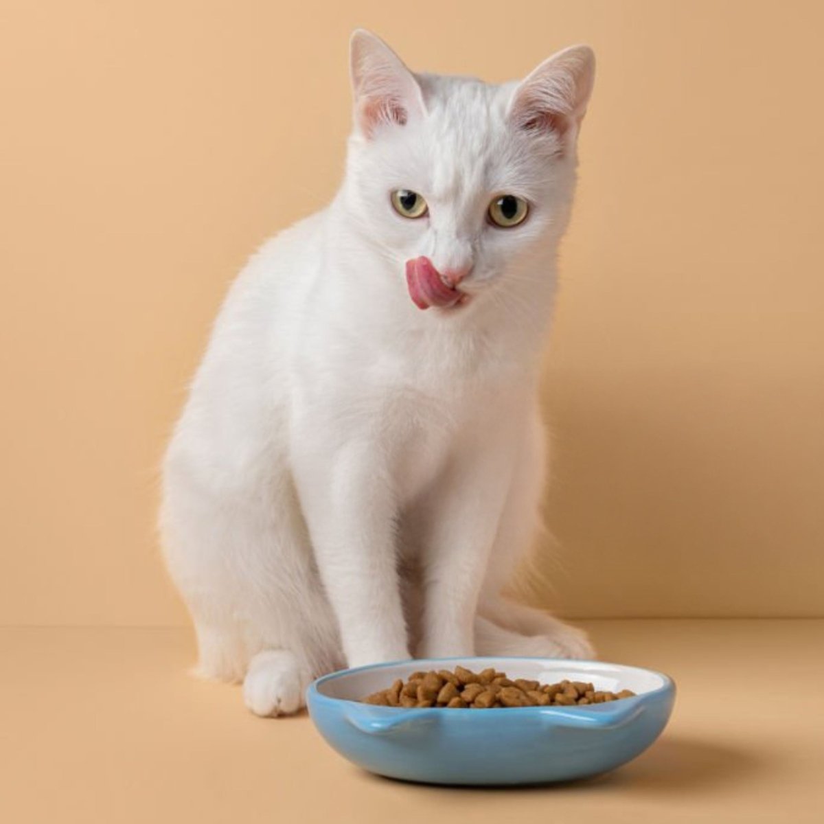 Premium Kat Graanvrij Kip - Adult - Hebbr