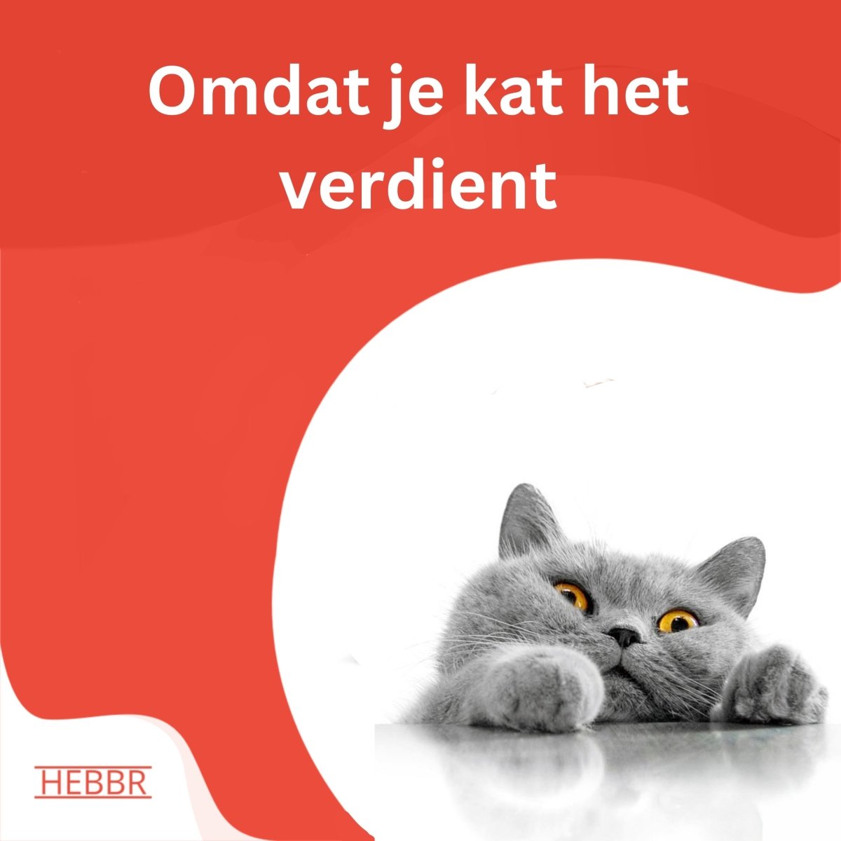 Premium Kat Graanvrij Zalm - Adult - Hebbr