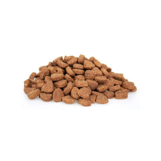 Premium Kat groot (XL) - Adult - Hebbr