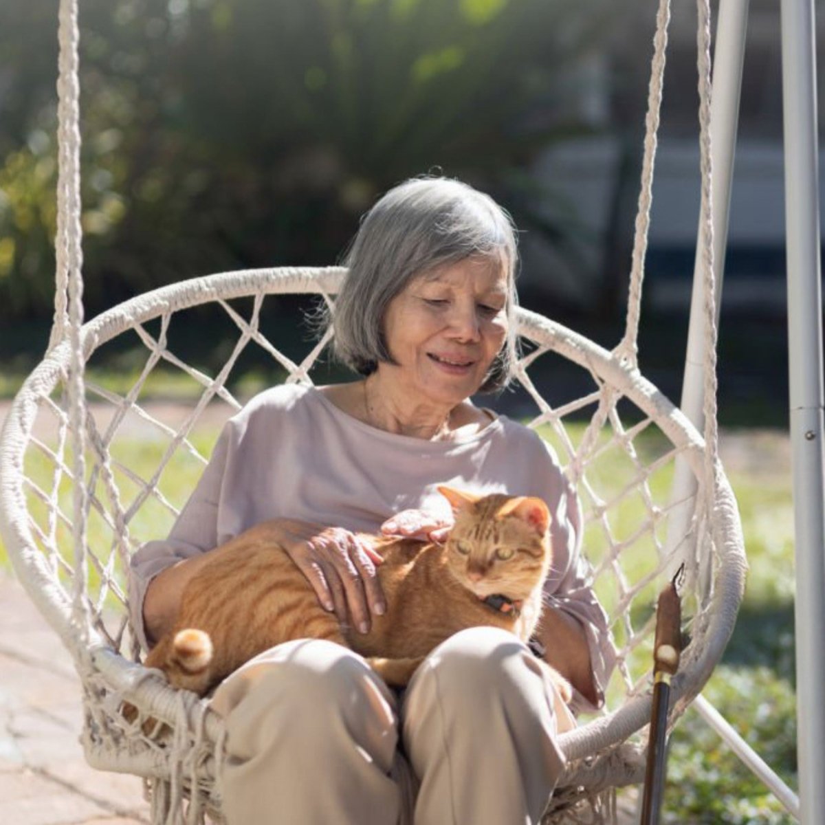 Premium Kat Senior - Hebbr