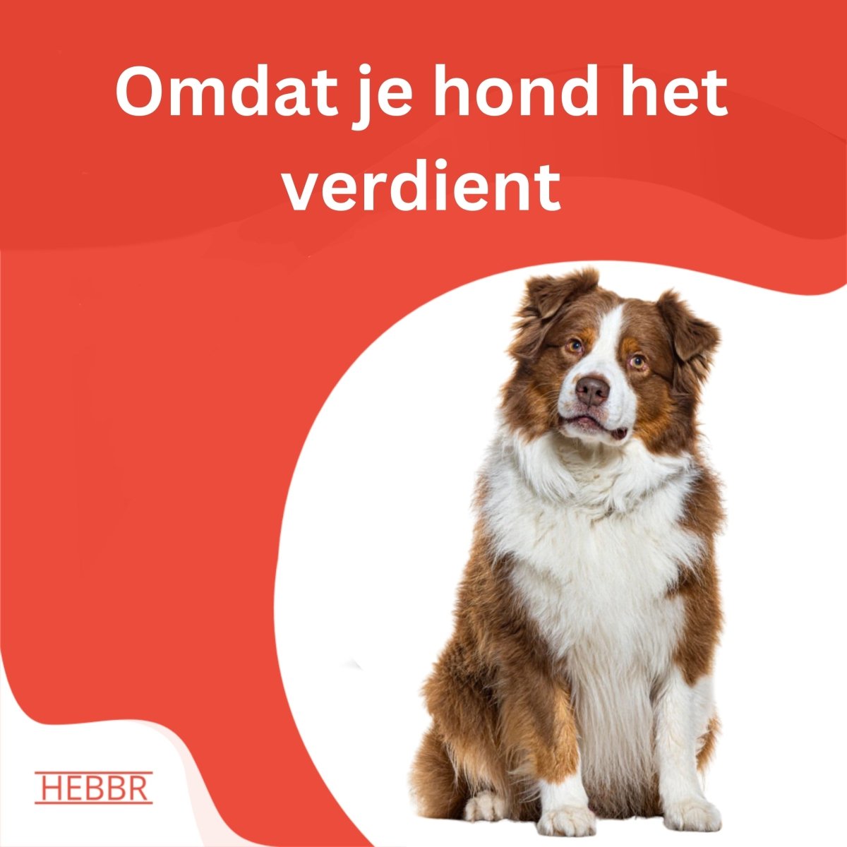 Premium kip & rijst - Adult - Hebbr