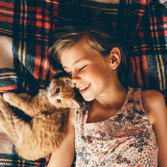 Premium Kitten - Hebbr