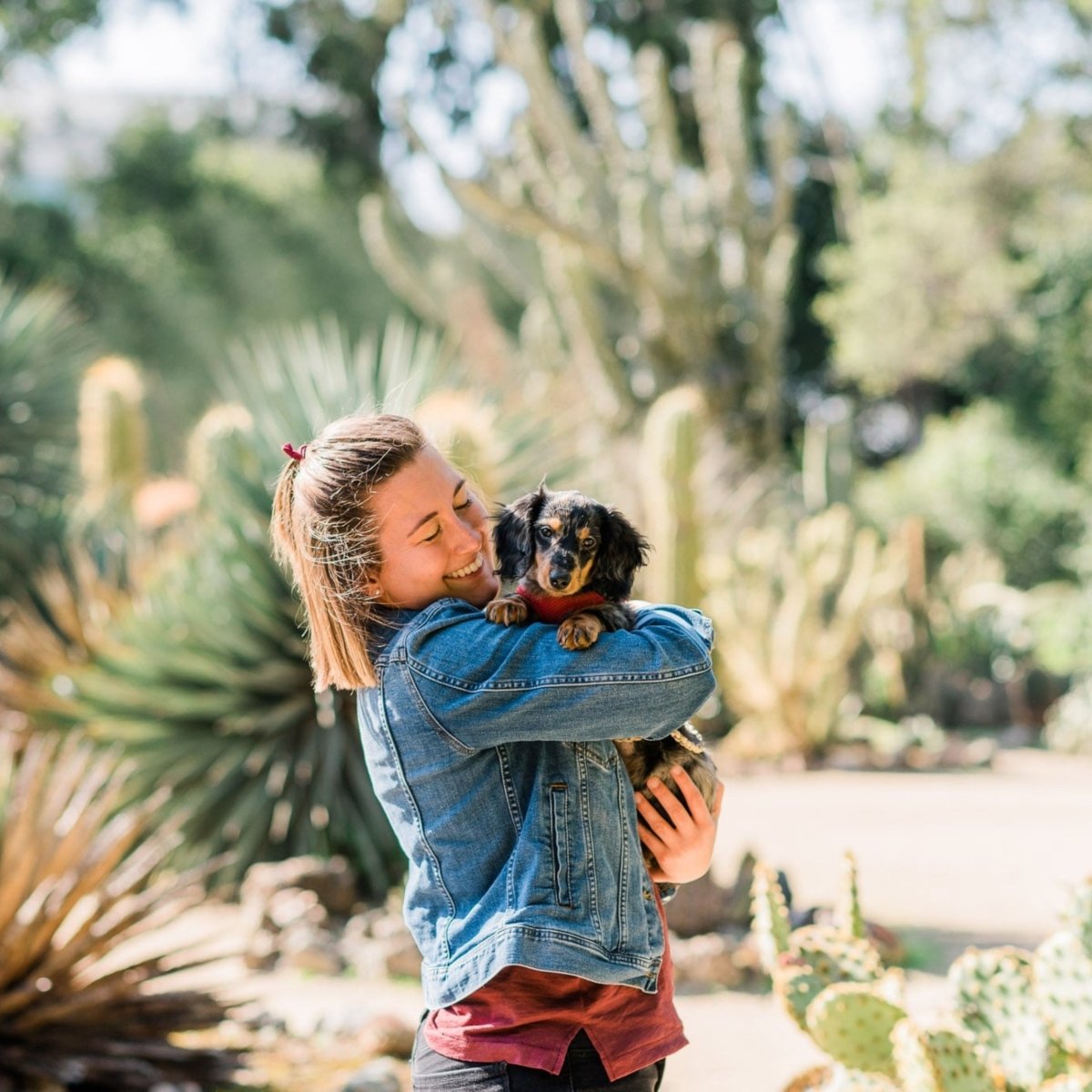 Premium Puppy & Junior - Hebbr