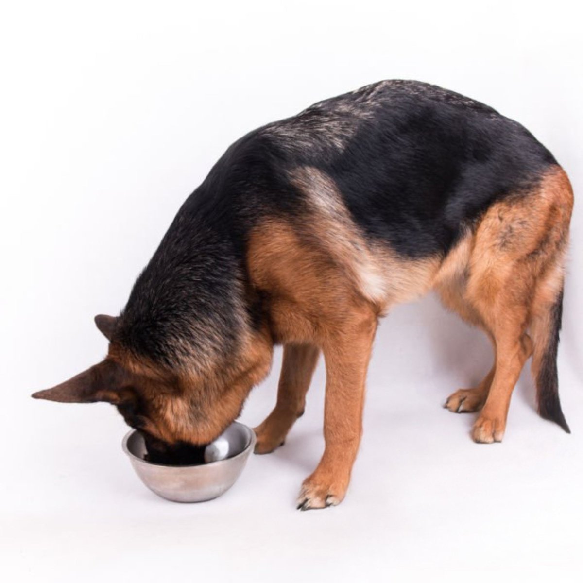 Premium sport & Actief - Hebbr