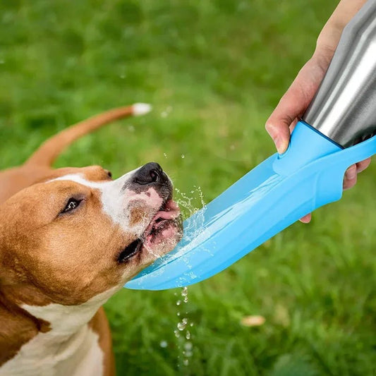 RVS Hondenwaterfles voor Grote Honden - Draagbare Waterbak voor Reizen, Lichtgewicht en Duurzaam - Hebbr