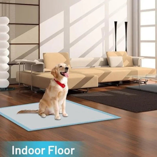 Super Absorberende Hondenluiers - 6 - Laags Wegwerp Puppy Training Pads, XXXL Formaat voor Grote en Kleine Honden - Hebbr