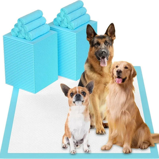 Super Absorberende Hondenluiers - 6 - Laags Wegwerp Puppy Training Pads, XXXL Formaat voor Grote en Kleine Honden - Hebbr