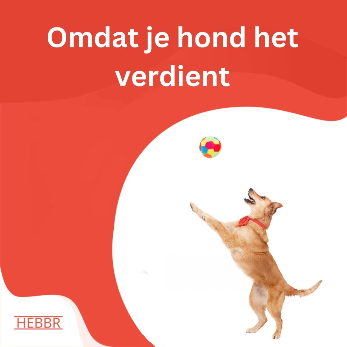 Super premium excellent actief en sport - Hebbr