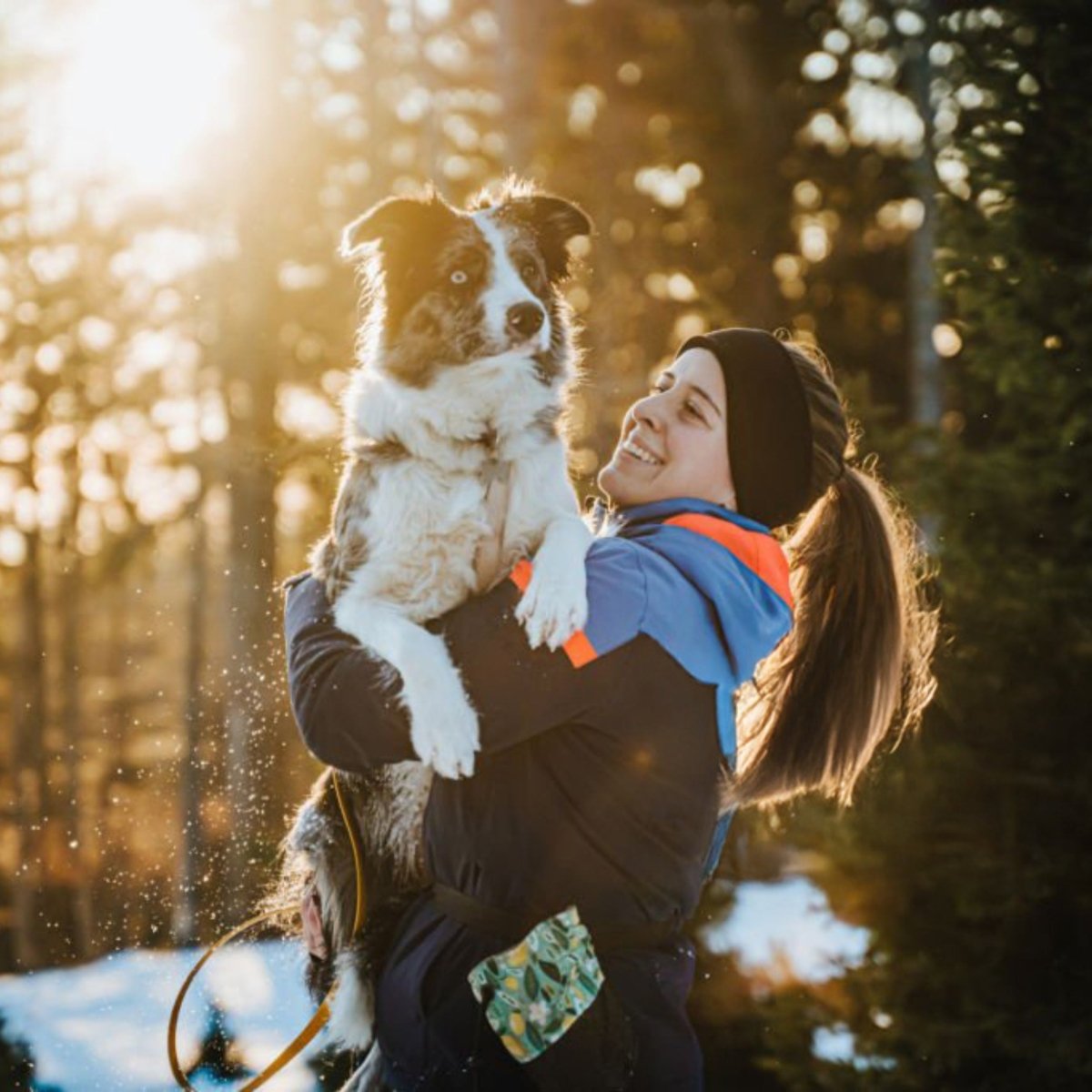 Super premium excellent energie en sport - Hebbr