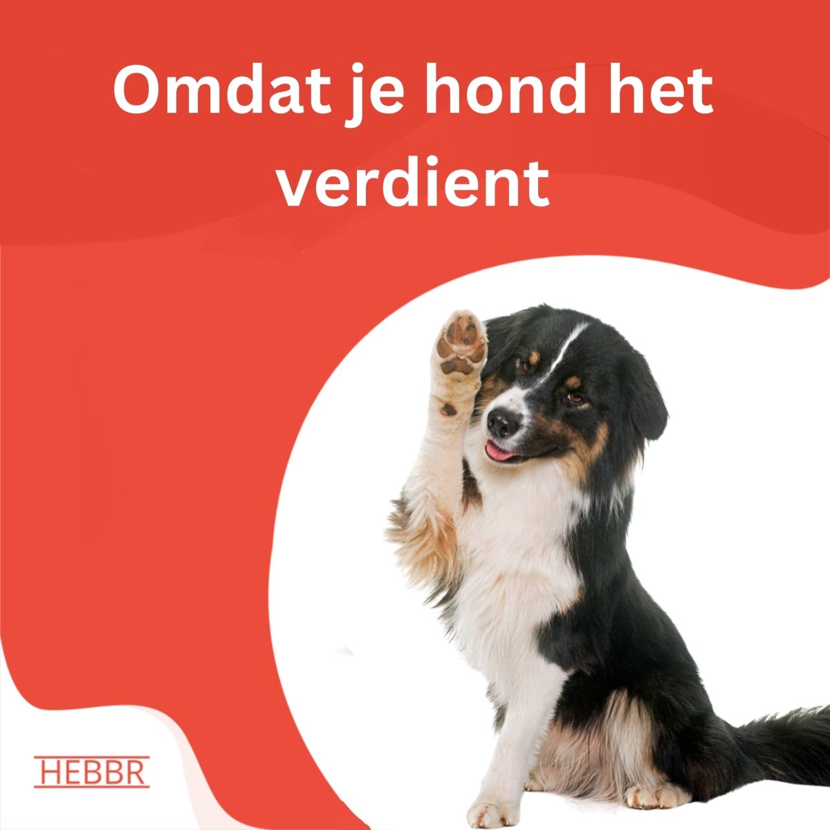 Super Premium Excellent Graanvrij kip & aardappel – geperst - Adult - Hebbr