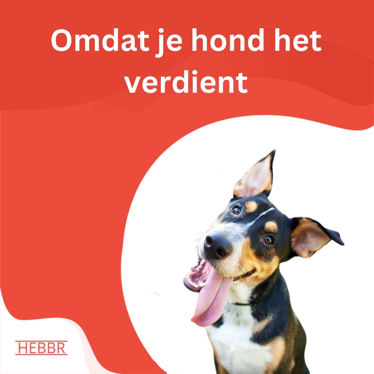 Super Premium Excellent Graanvrij lam & aardappel – geperst - Adult - Hebbr