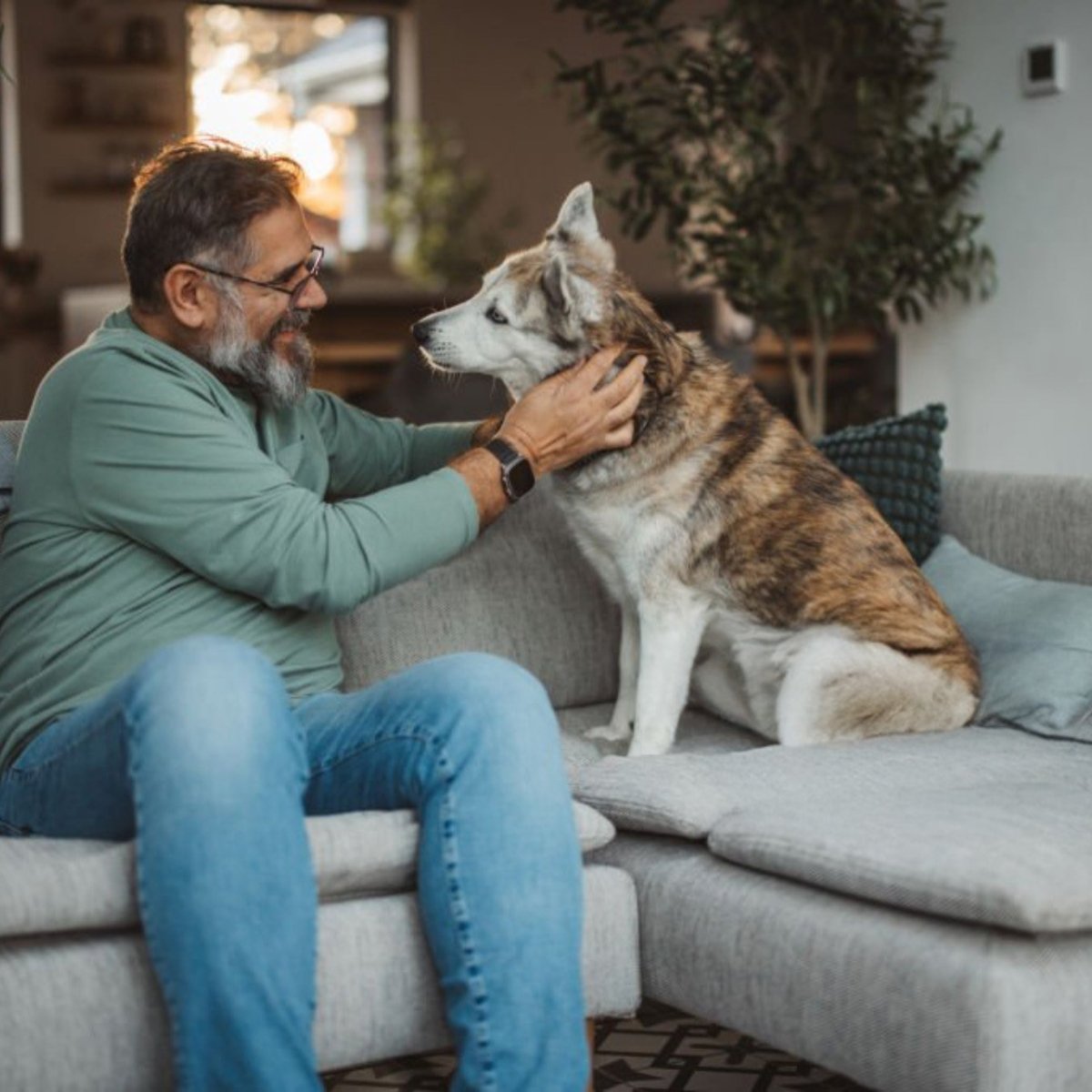 Super Premium Excellent lam & rijst Super Premium – geperst - Adult - Hebbr