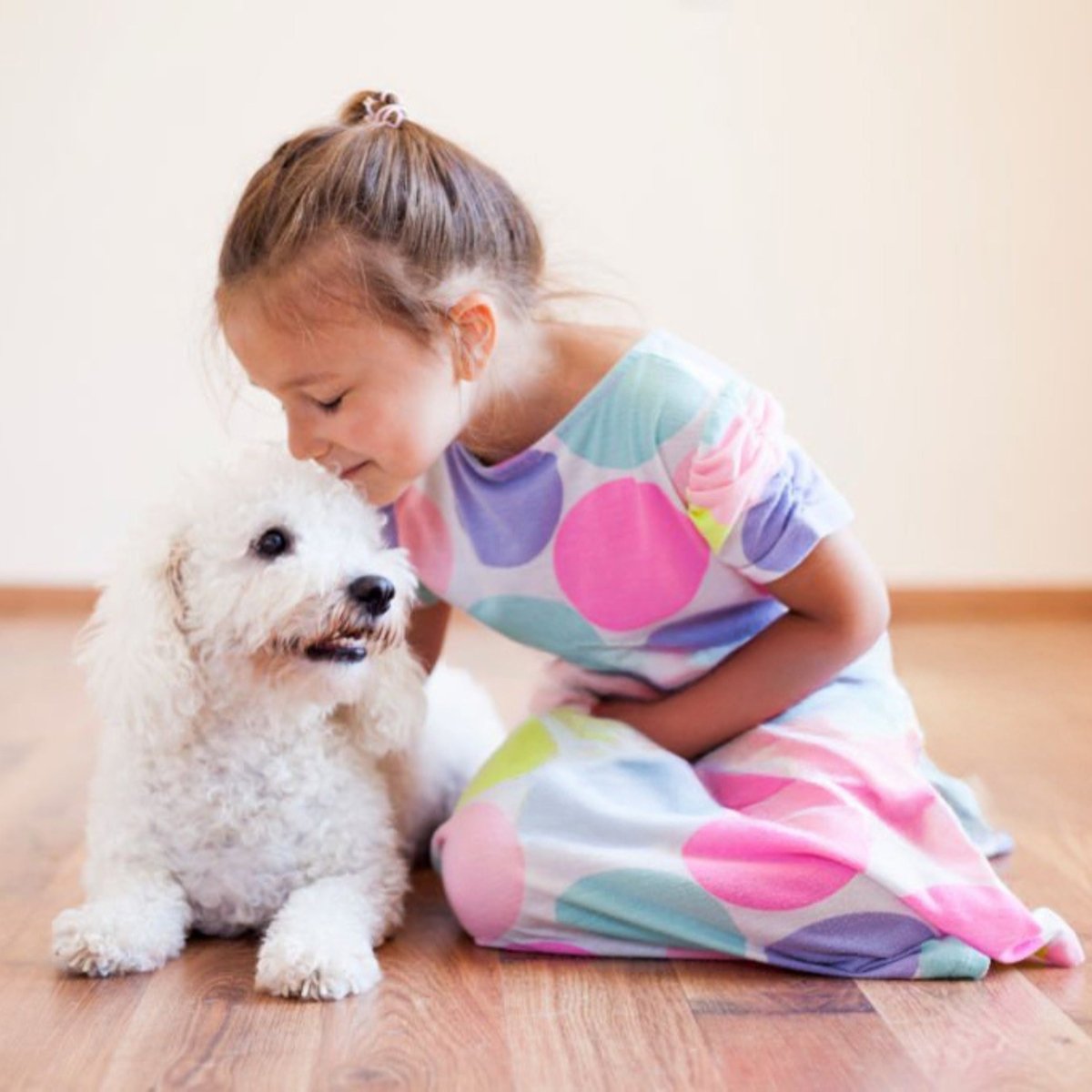 Super premium excellent puppy junior graanvrij kip & aardappel - Hebbr