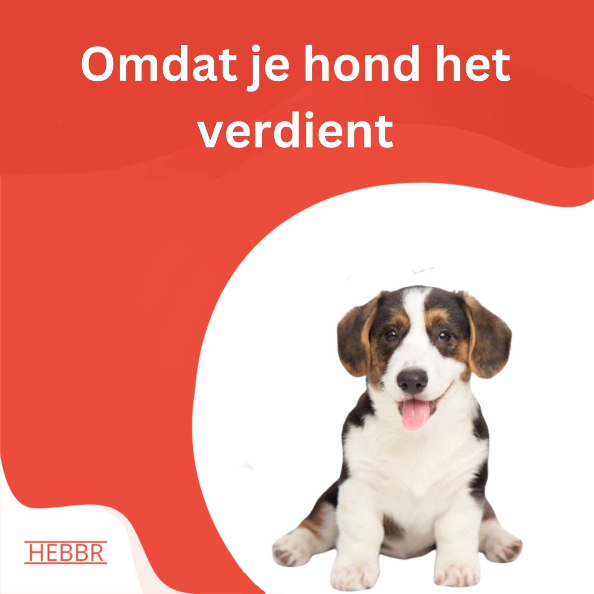 Super premium excellent puppy junior graanvrij kip & aardappel - Hebbr