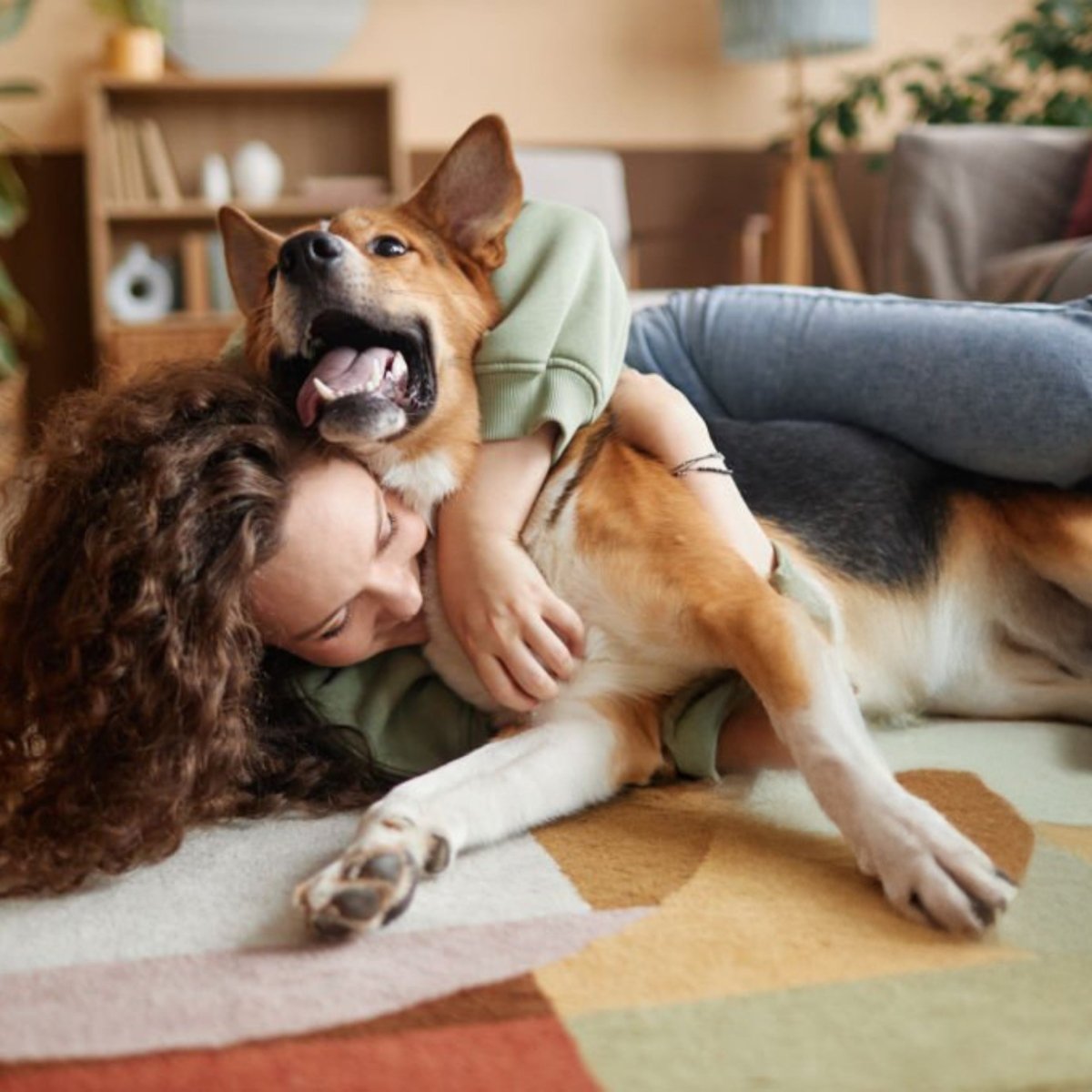 Super Premium Graanvrij kip & aardappel - Hebbr