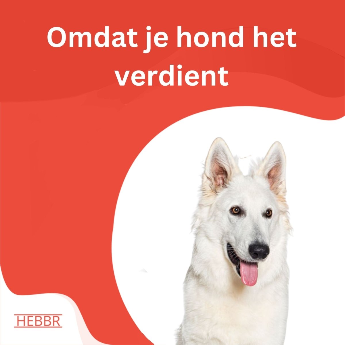 Super Premium Graanvrij lam & aardappel - Adult - Hebbr