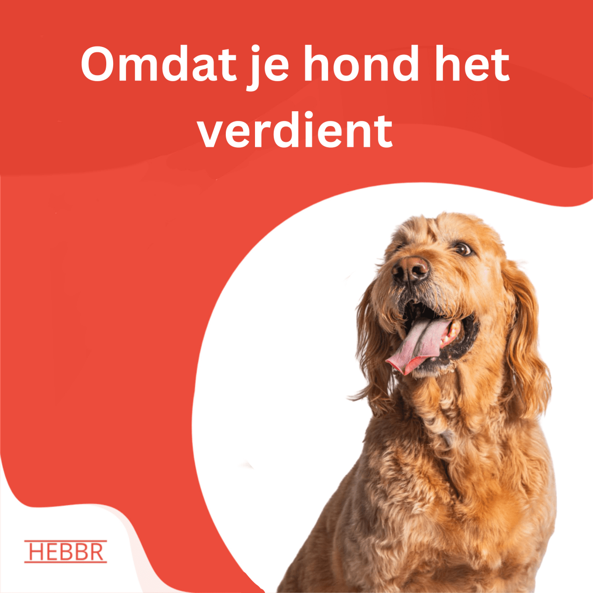 Super Premium kip & rijst - Adult - Hebbr