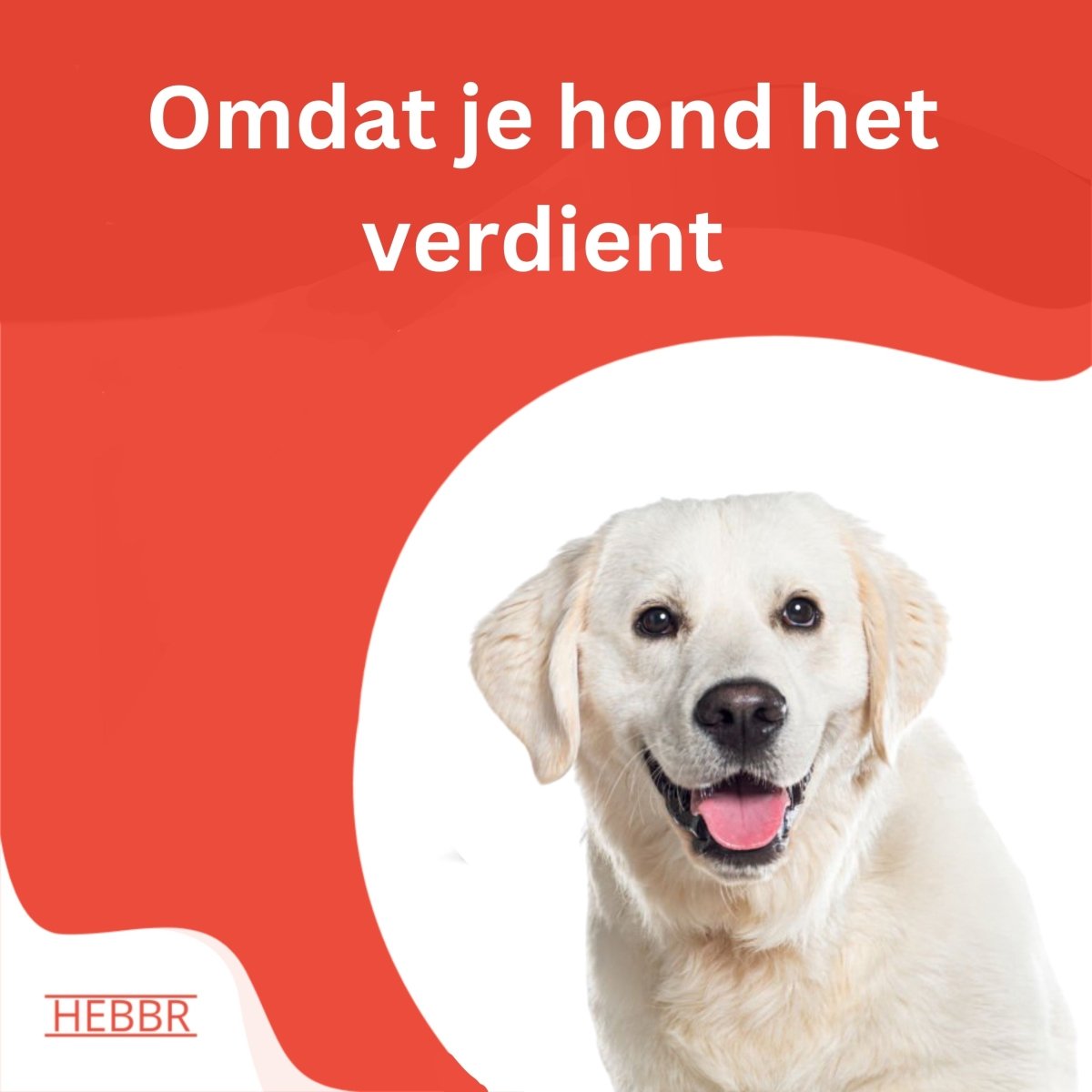 Super Premium lam & rijst - Adult - Hebbr