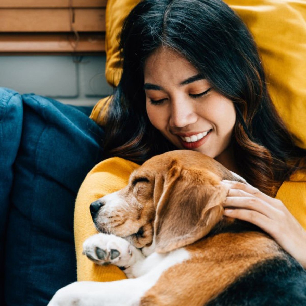 Super Premium lam & rijst - Adult Mini - Hebbr