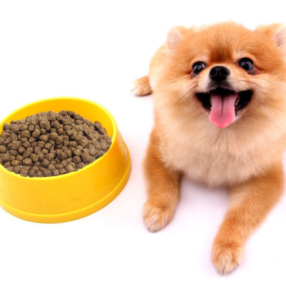 Super Premium lam & rijst - Adult Mini - Hebbr