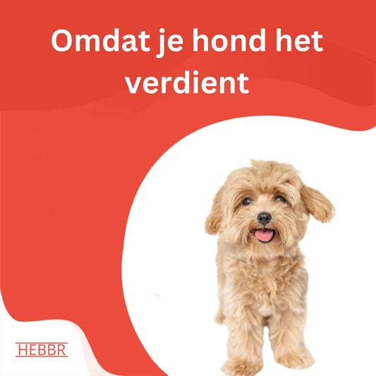 Super premium puppy excellent geperst - Hebbr