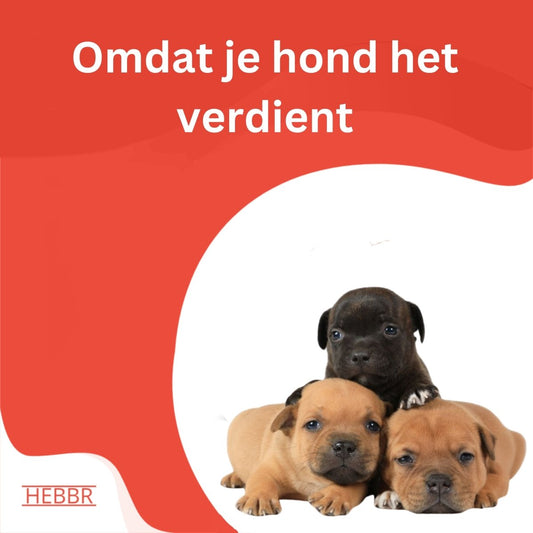Super Premium Puppy Graanvrij kip & aardappel - Hebbr