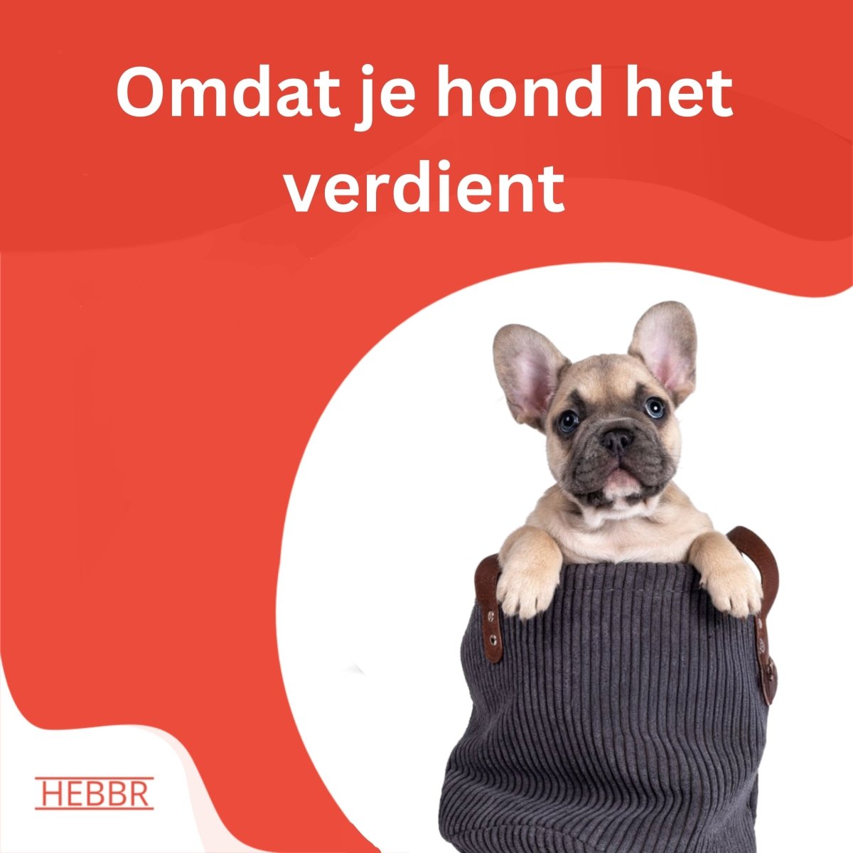 Super Premium puppy & Junior - Hebbr