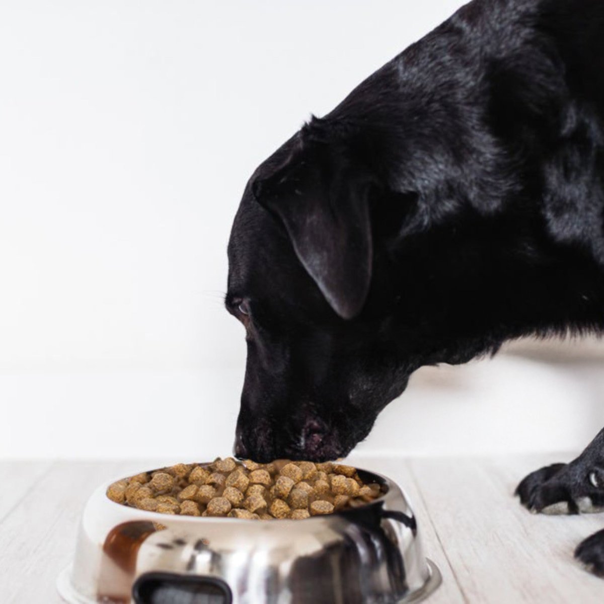 Super Premium Salmon & rijst - Adult - Hebbr