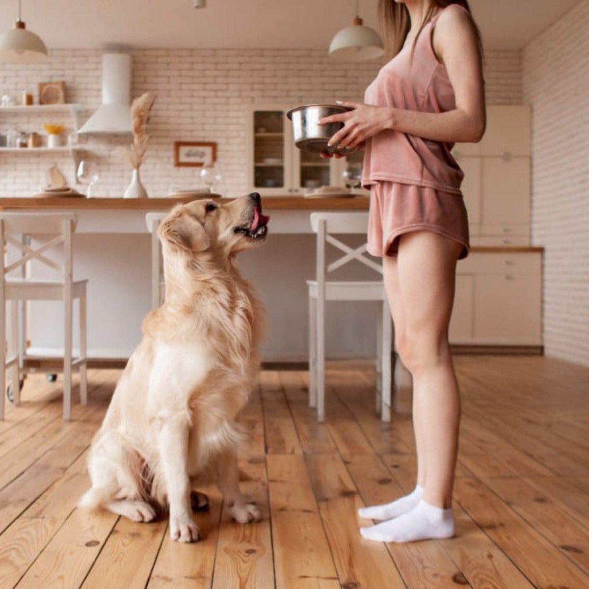 Super Premium Senior dieet Graanvrij kip & aardappel - Hebbr