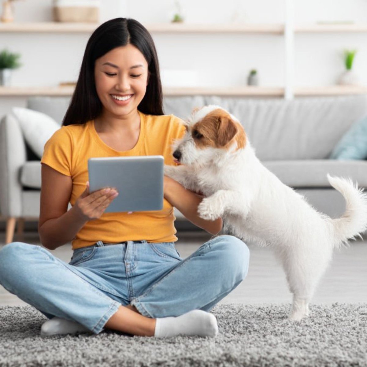 Super Premium Senior dieet Graanvrij kip & aardappel - Hebbr