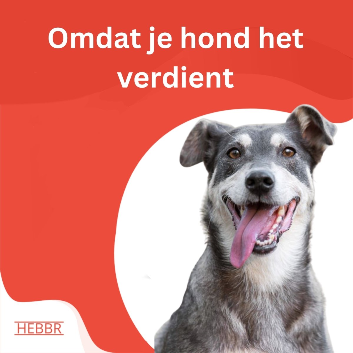 Super Premium Senior / dieet lam & rijst - Hebbr