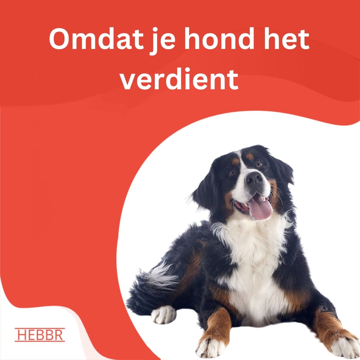 Super Premium Sensitive - Adult - Hebbr