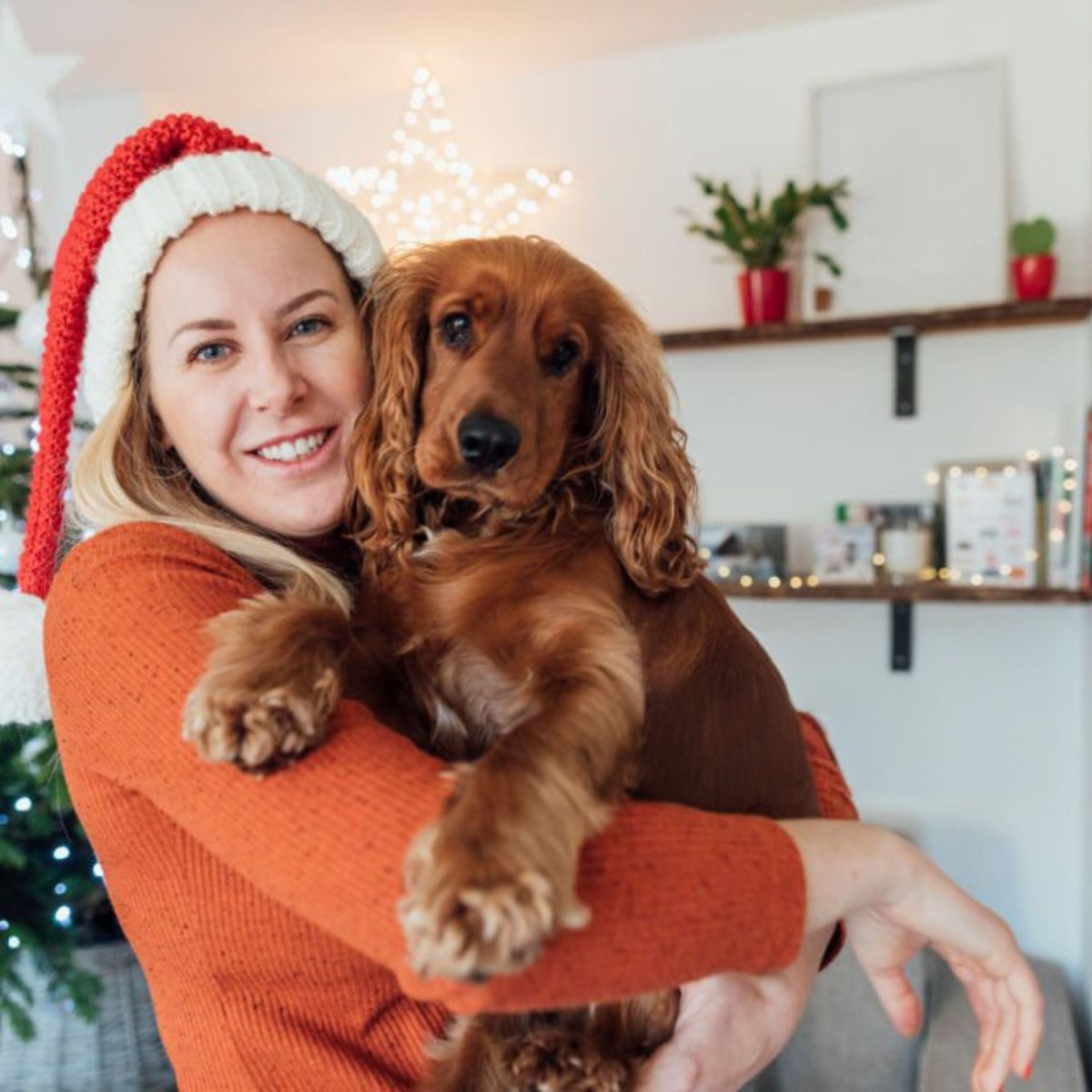 Super Premium Vegetarian - Hebbr