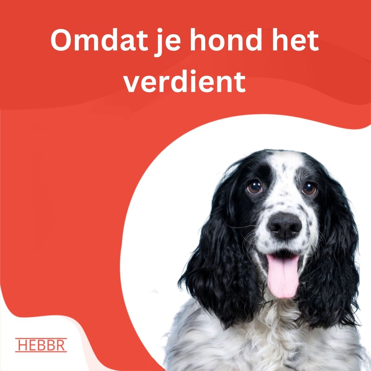 Super Premium Vegetarian - Hebbr