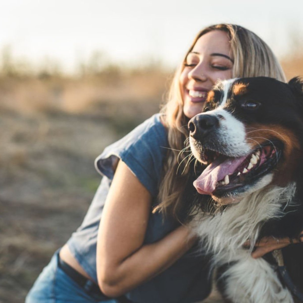 Super Premium Venison & aardappel - Adult - Hebbr