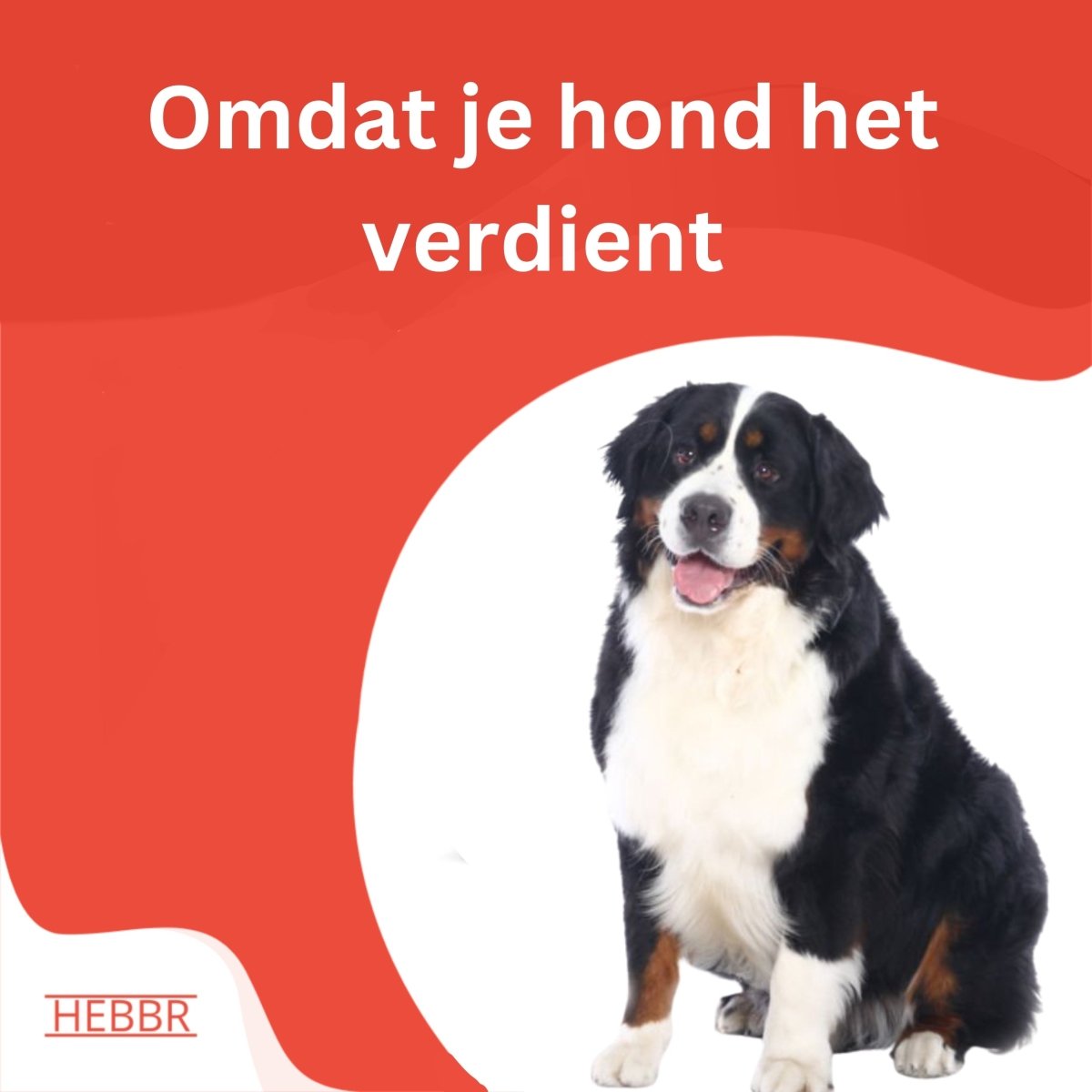 Super Premium Venison & aardappel - Adult - Hebbr