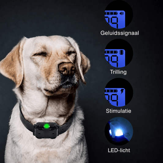 Trainingshalsband | Afstandsbediening, Waterdicht, Instelbare Stimulatie - Hebbr