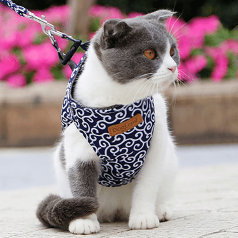 Verstelbaar Kattentuigje voor Buiten - Ademend en Licht Gewichtsontwerp voor Comfortabele Wandelingen - Hebbr