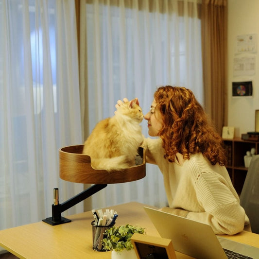 Verstelbare Kattenmand voor Katten tot 8 kg – Draaibaar & Comfortabel Kattenbedje - Hebbr