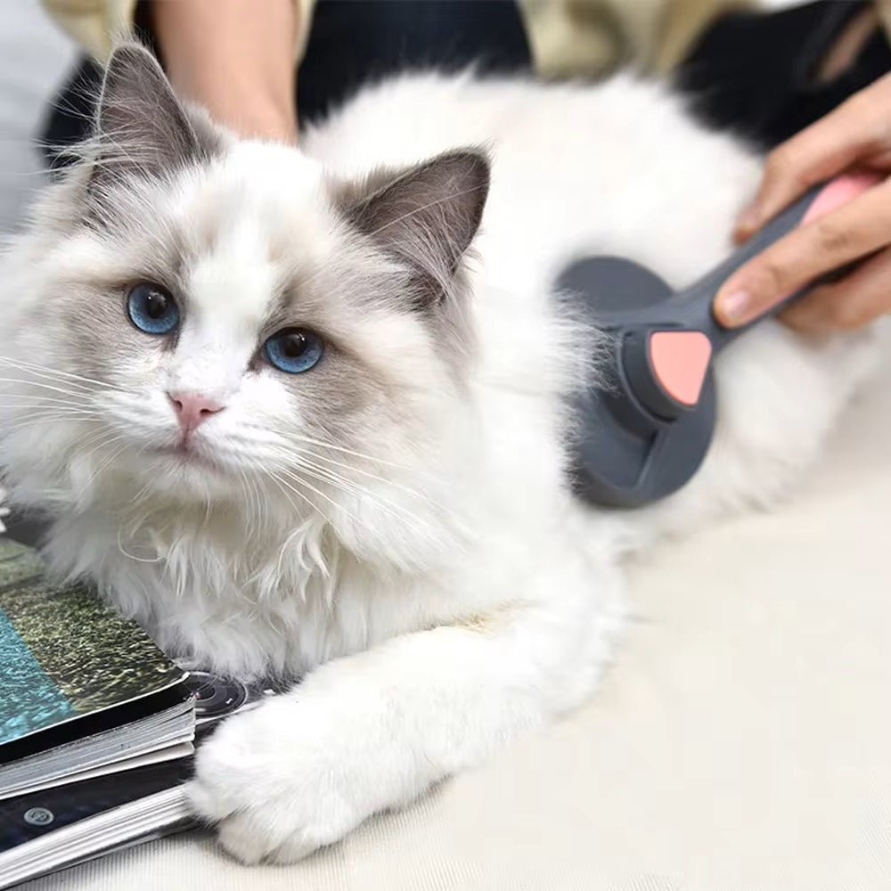 Verzorgingsborstel voor Katten en Honden - Zelfreinigend, Zachte Borstelwerking, Vermindert Losse Haren - Hebbr