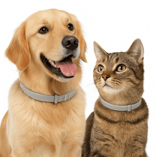 Vlooienhalsband voor Honden en Katten - Verstelbaar, Lichtgewicht en Comfortabel Neutraal Grijs - Hebbr