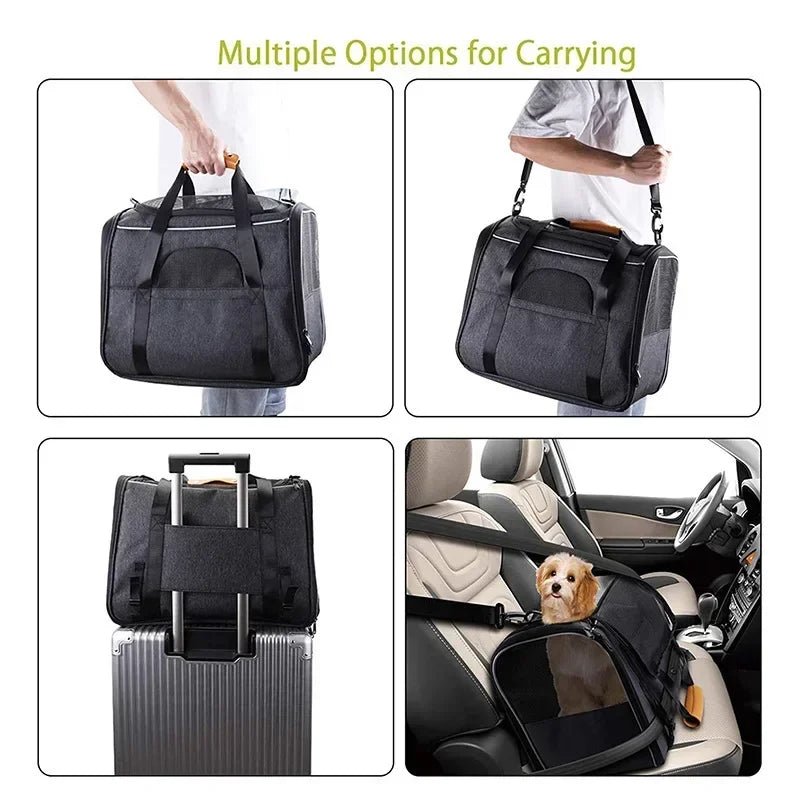 Vouwbare Draagtas voor Huisdieren - Ademend Nylon Oxford, Zwart en Paars, Geschikt voor Katten en Kleine Honden - Hebbr